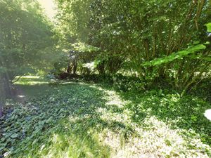 Additional Garden- click for photo gallery